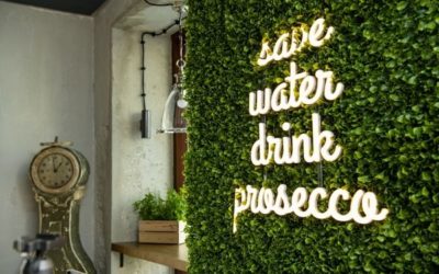 PIERRE BAGUETTE & WINE